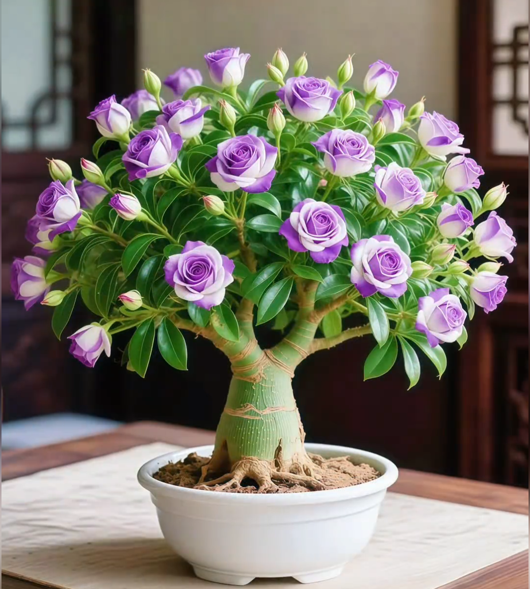🌵 Dykumos rožė – egzotinės gėlės, natūralus grožis! 🌺✨-LT