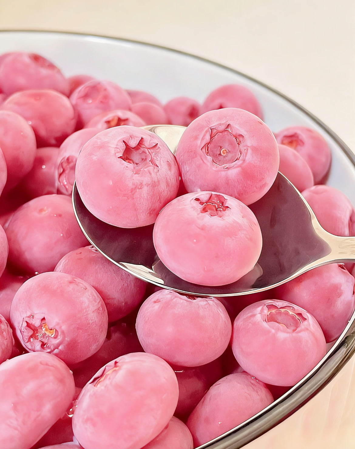 Sjemenke borovnice Pink Bliss – Dvostruka slatkoća-HR